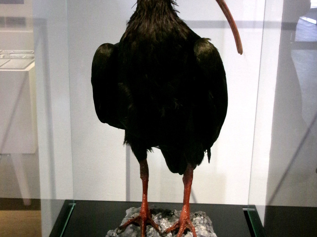 Graz Museum Schlossberg-格拉茨城必去景点