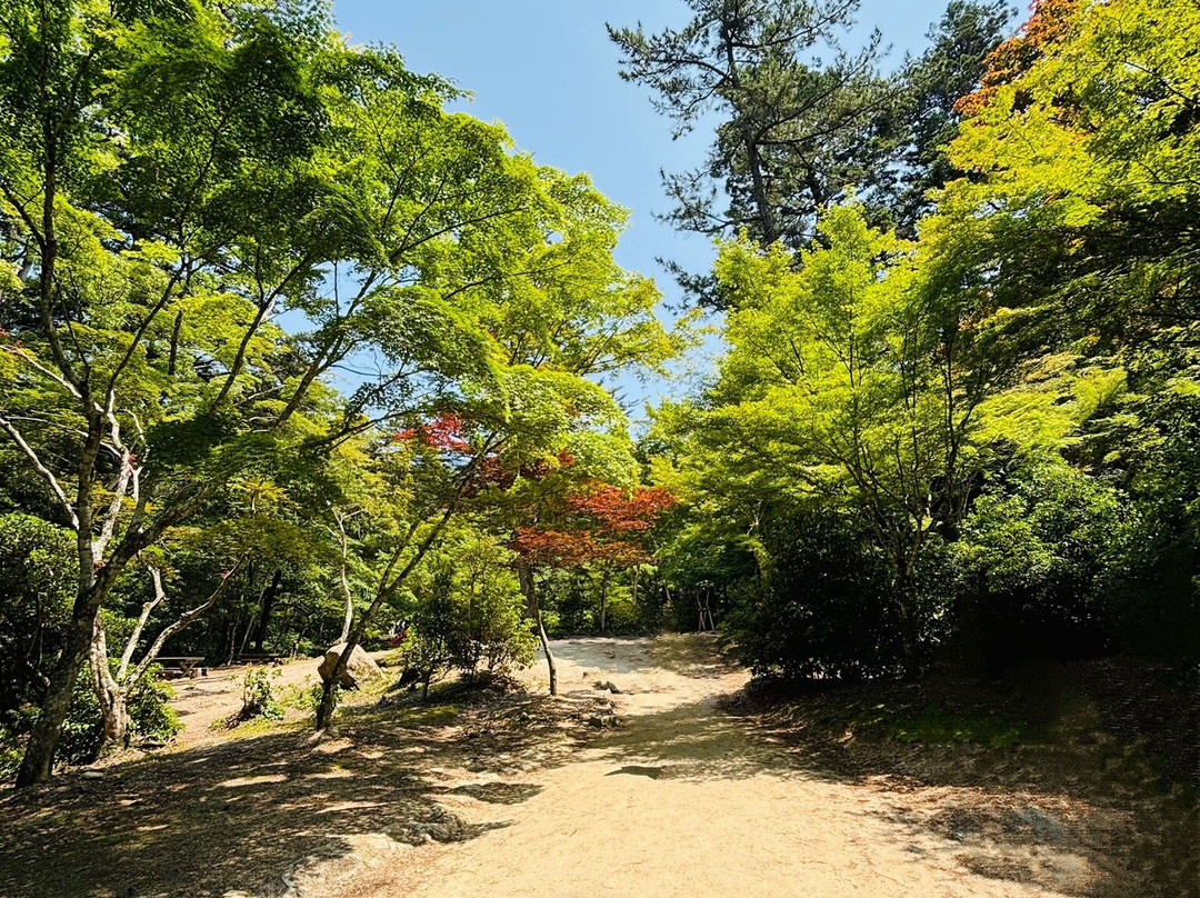 Momijidani Park-Itsukushima必去景点
