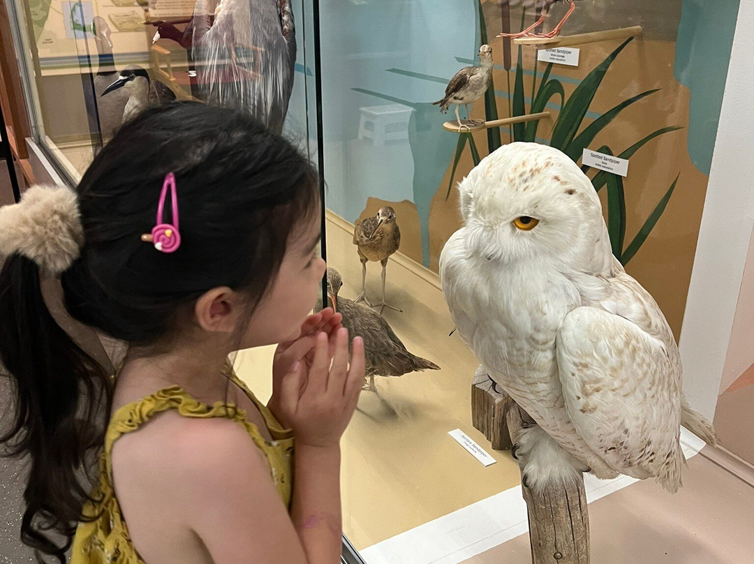 Cape Cod Museum of Natural History-Brewster必去景点