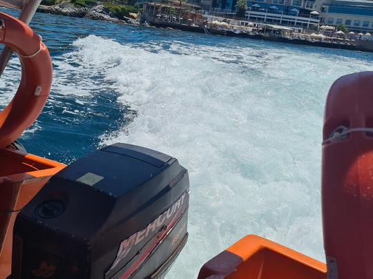 Diver Bees Dive Center-库萨达斯必去景点