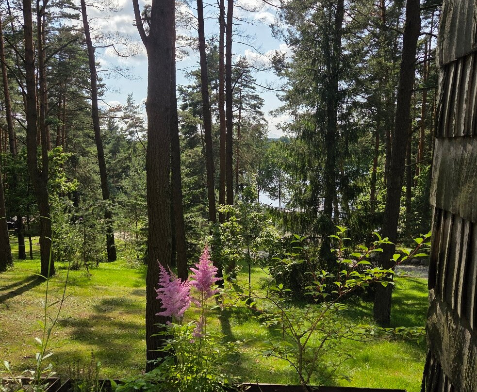 托尼度假酒店主图