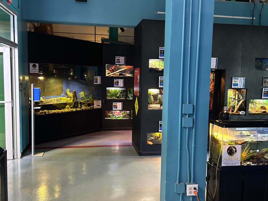 IMAG History & Science Center-迈尔斯堡必去景点