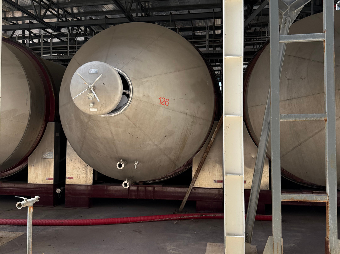 Cantine San Marzano-San Marzano di San Giuseppe必去景点