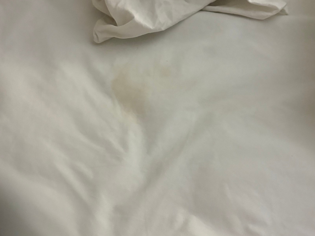 Wingate by Wyndham Uniontown主图