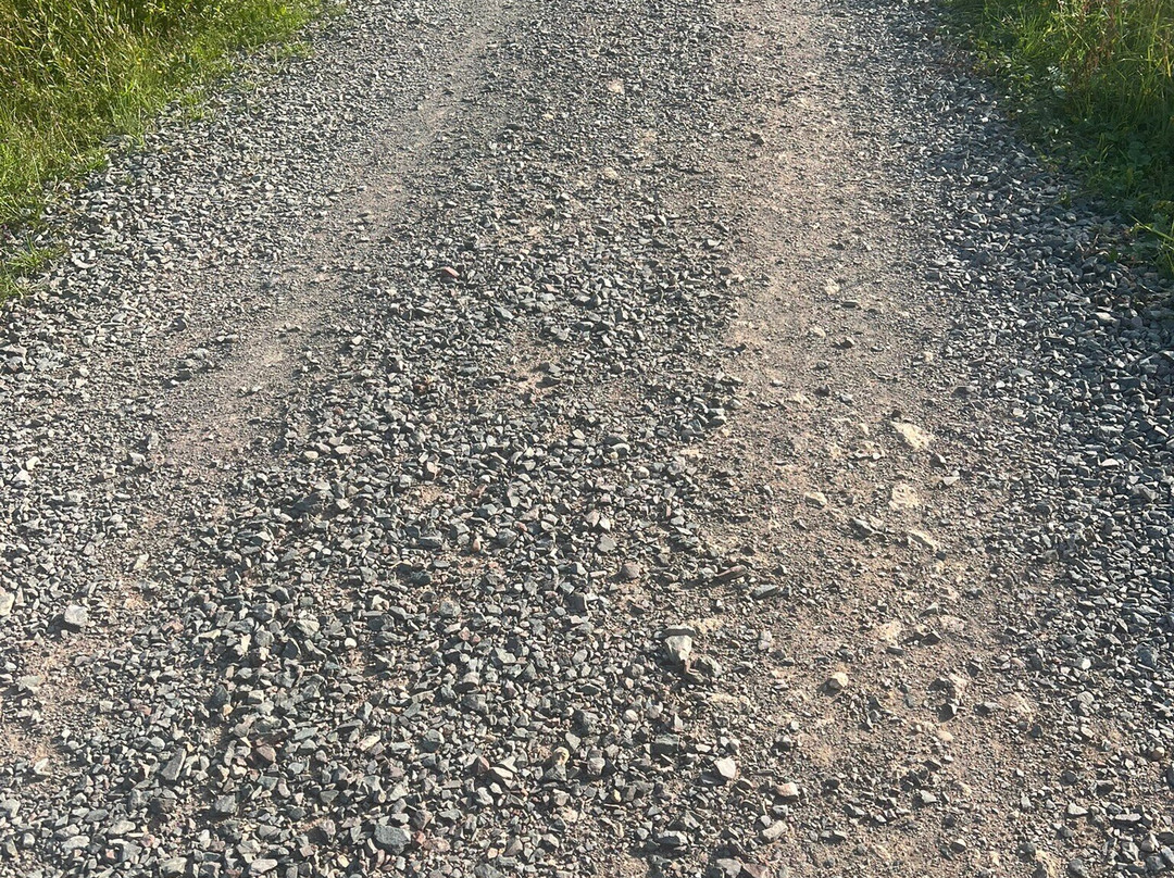 Fineshade Wood-科比必去景点