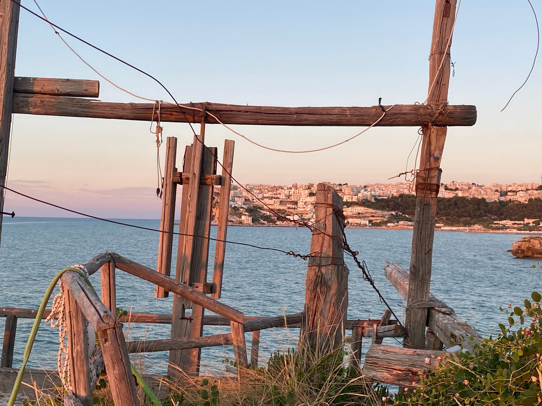 Petra Maris B&B主图