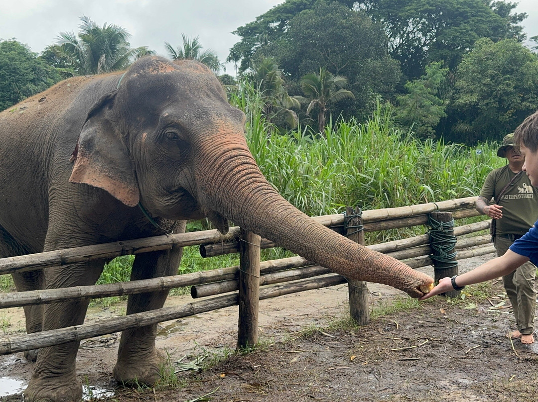 Smart Elephants Family-清迈必去景点