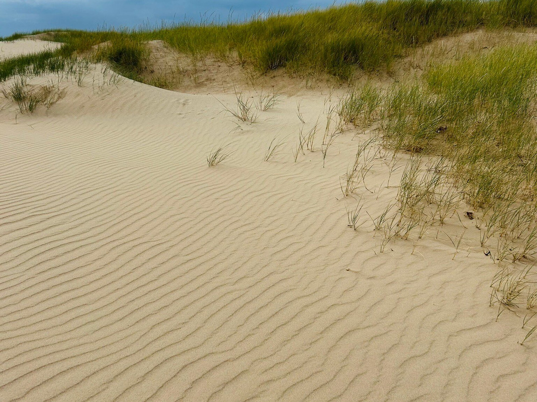 Holkham National Nature Reserve-Holkham必去景点