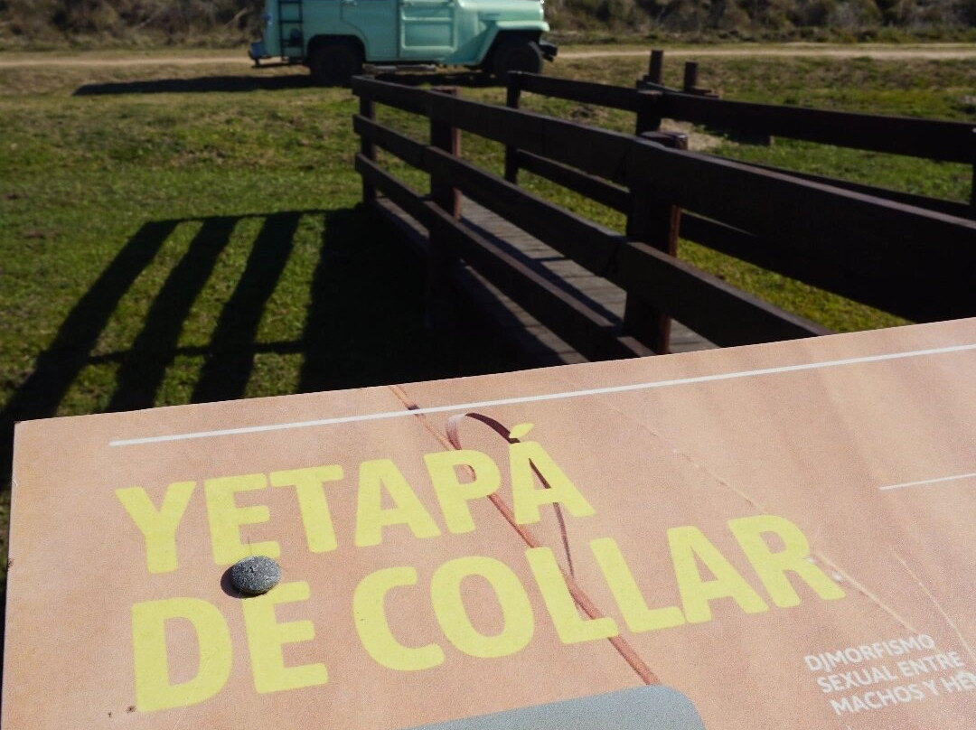 Parque Nacional Ibera-Ituzaingo必去景点