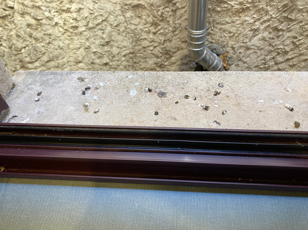 ARVA Hotel Spa Paris主图