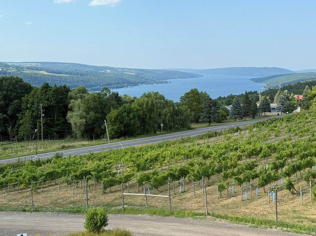 Living Roots Finger Lakes-Hammondsport必去景点