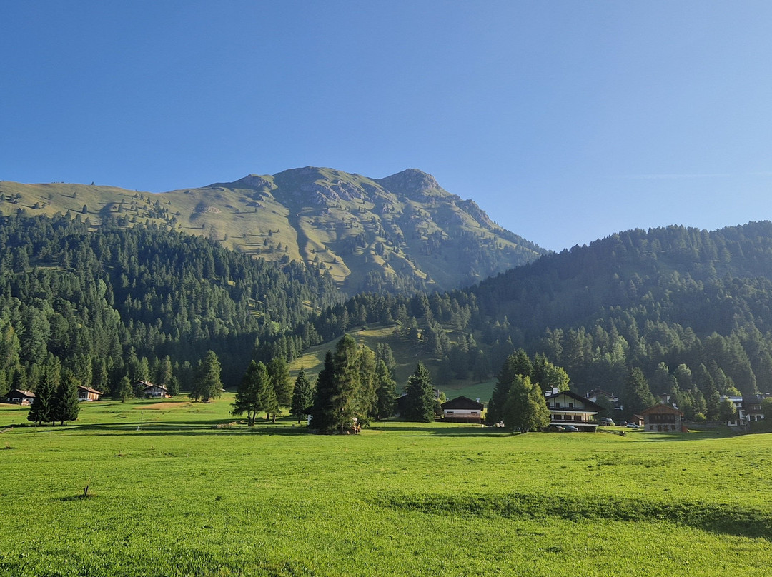 Park Hotel Sancelso主图