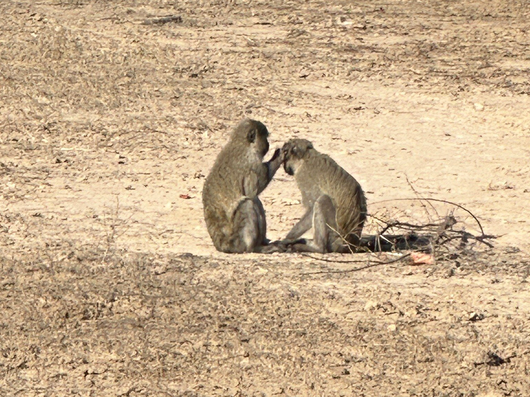 Mosi-oa-Tunya National Park-李文斯顿必去景点