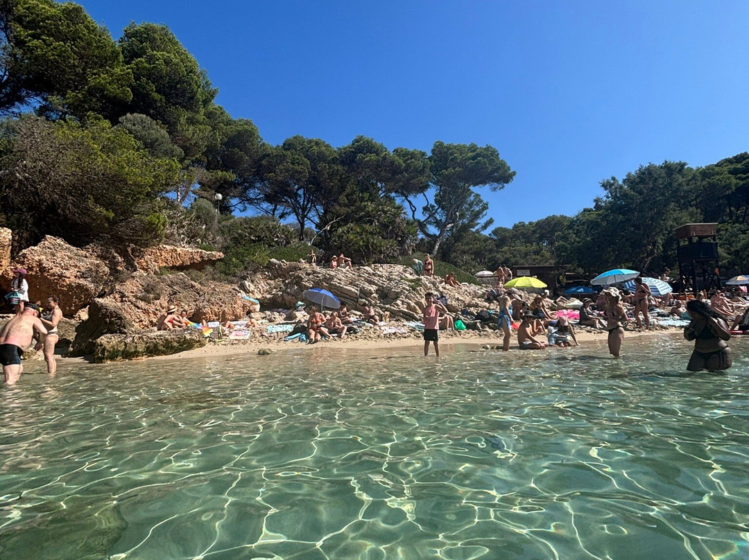 Cala Gat-Cala Ratjada必去景点