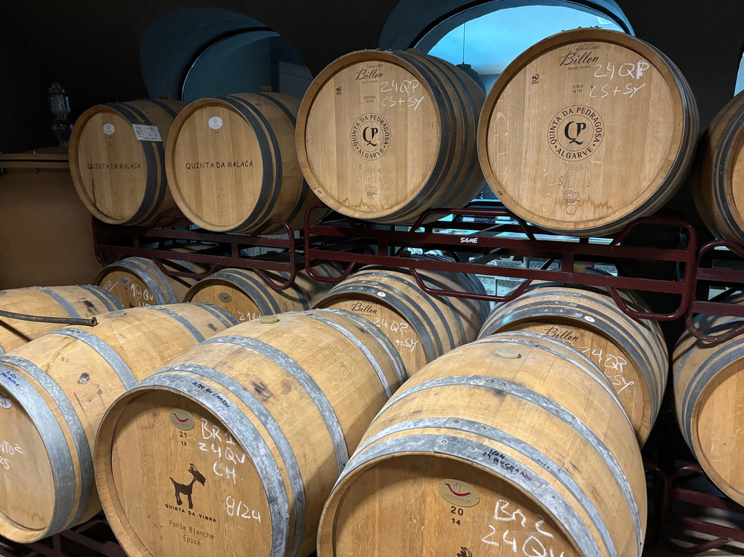 Cabrita Wines-Silves必去景点