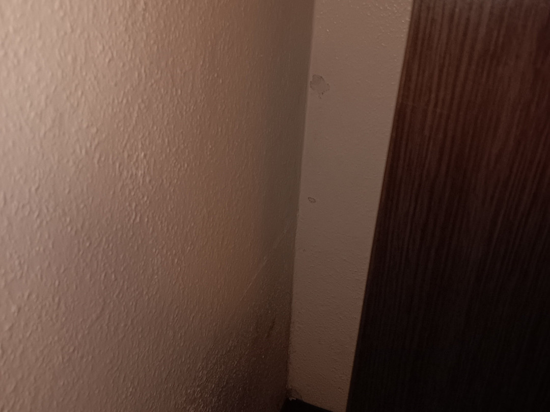 Hotel Zur Heideblute主图