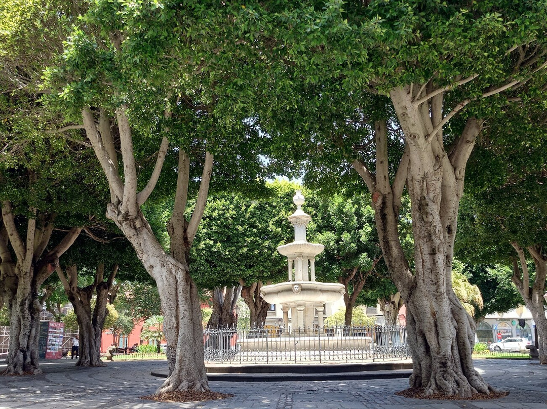 Plaza del Adelantado-拉古纳的圣克里斯托波尔城必去景点