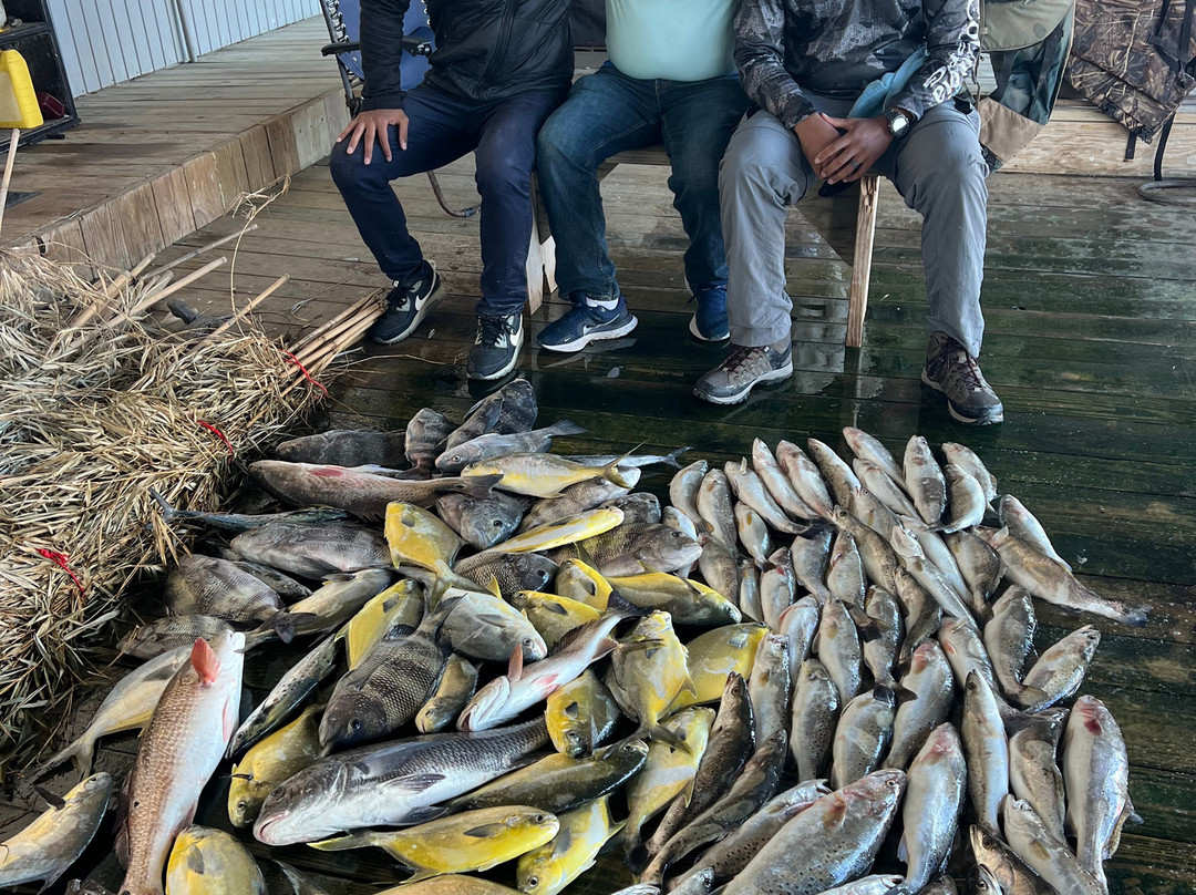 Southern Access Charters-Venice必去景点