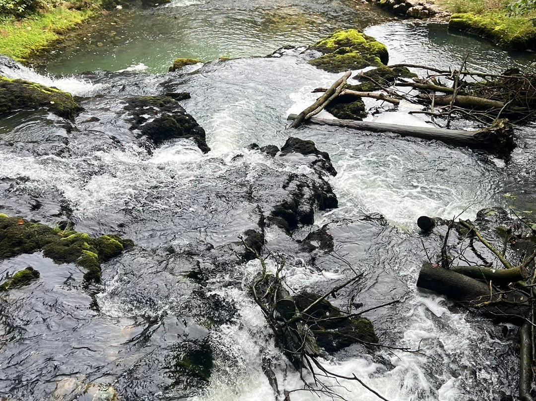 Source du Lison-Nans-sous-Sainte-Anne必去景点