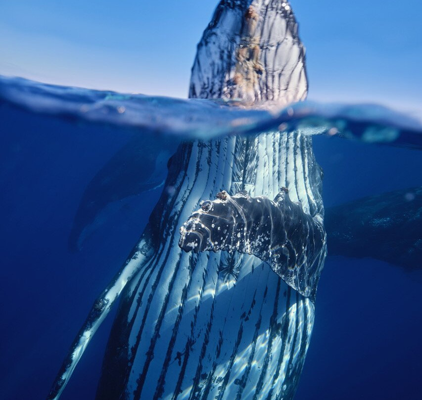 Kaz Plongée-L'Etang-Sale必去景点