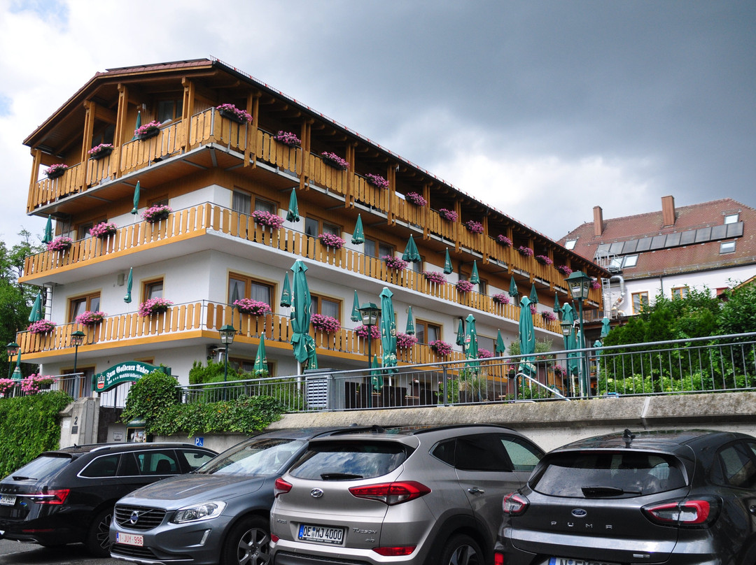 Hotel Zum Goldenen Anker主图