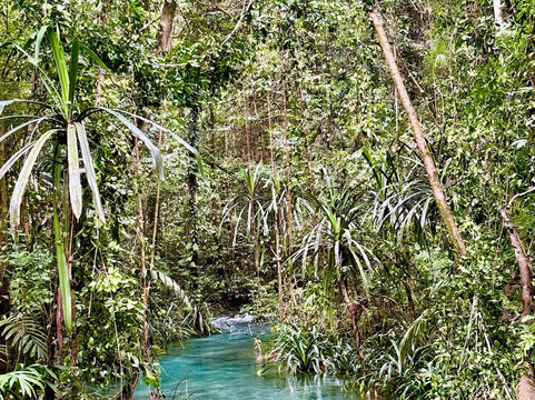 Raja Ampat Biz-索龙必去景点