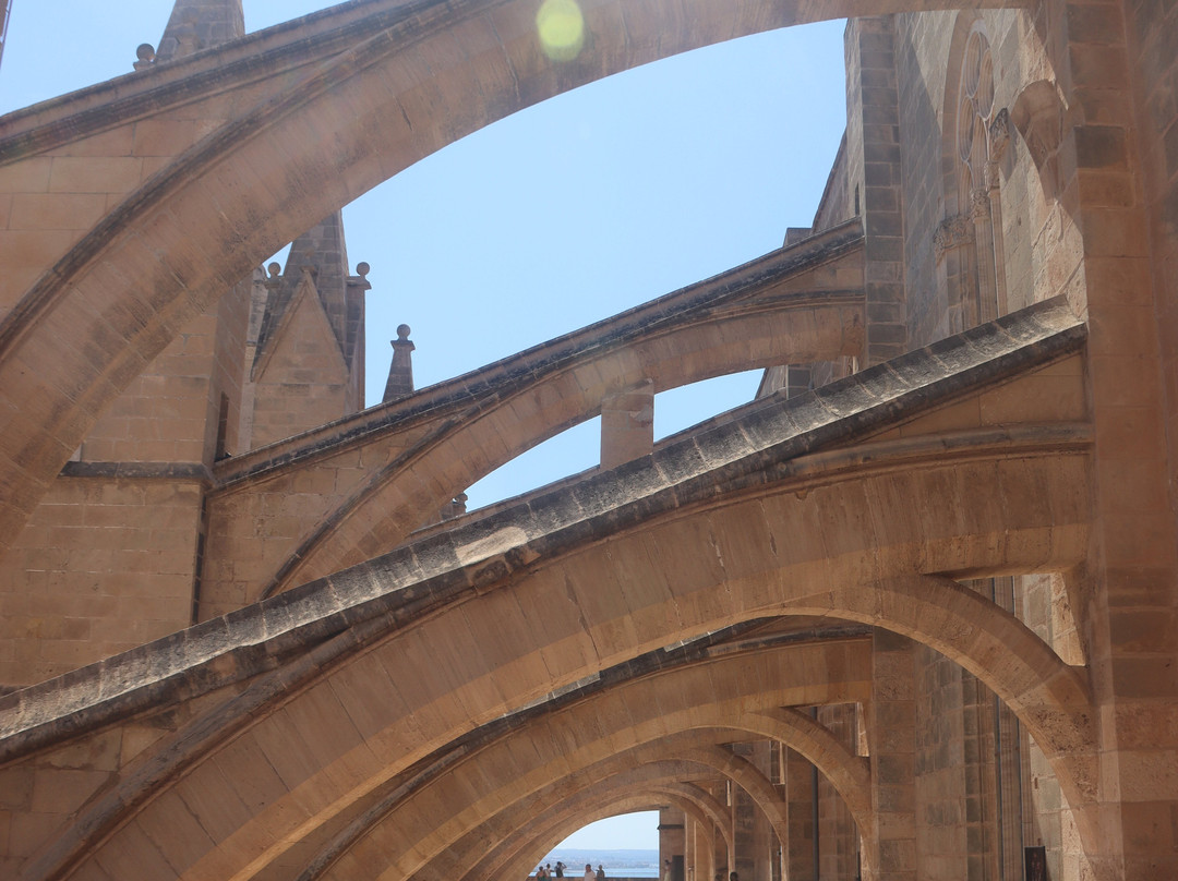 Terrazas de la Catedral de Palma-马洛卡帕尔马必去景点