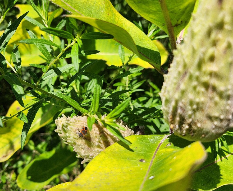 Terrapin Nature Park-Stevensville必去景点