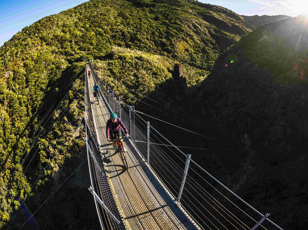 Cycle Remutaka-下赫特必去景点