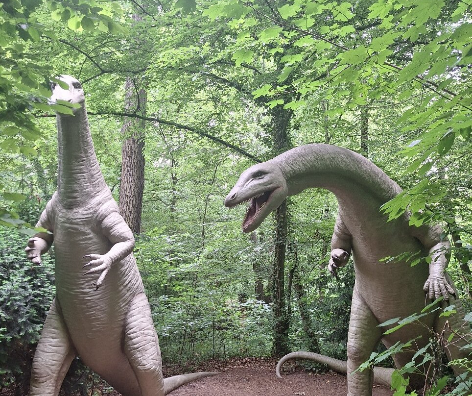Saurier Park-Bautzen必去景点
