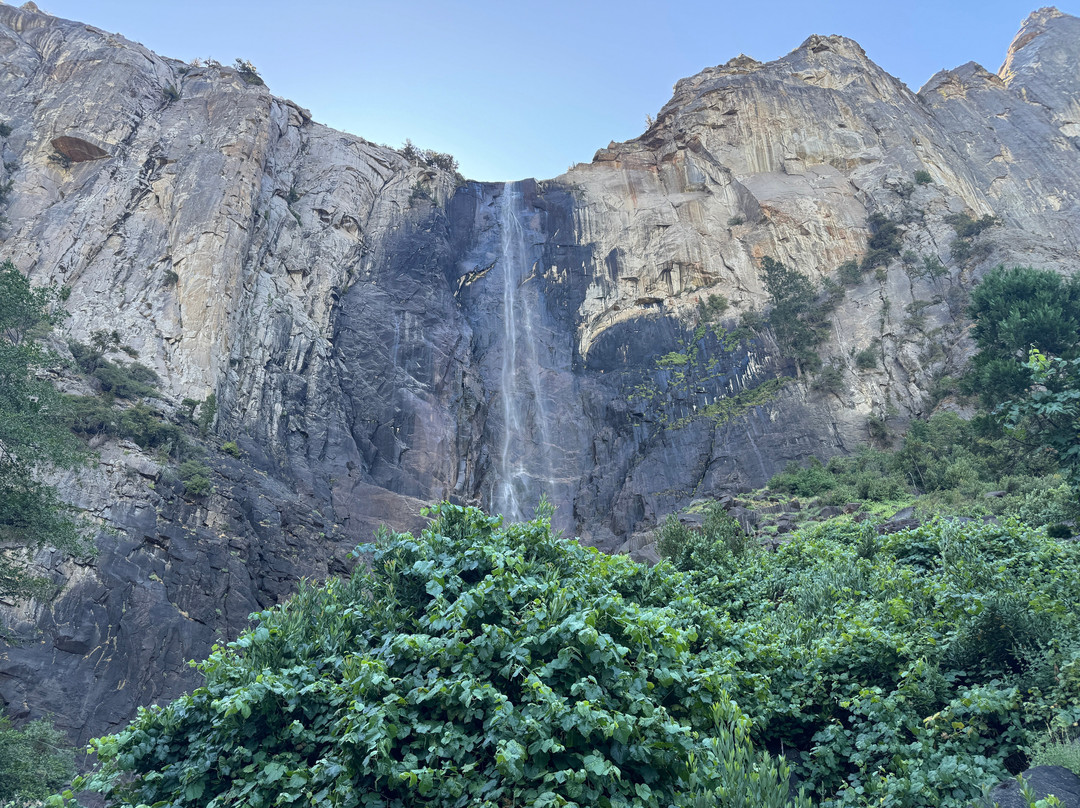 Yosemite Guide Service-格罗夫兰必去景点