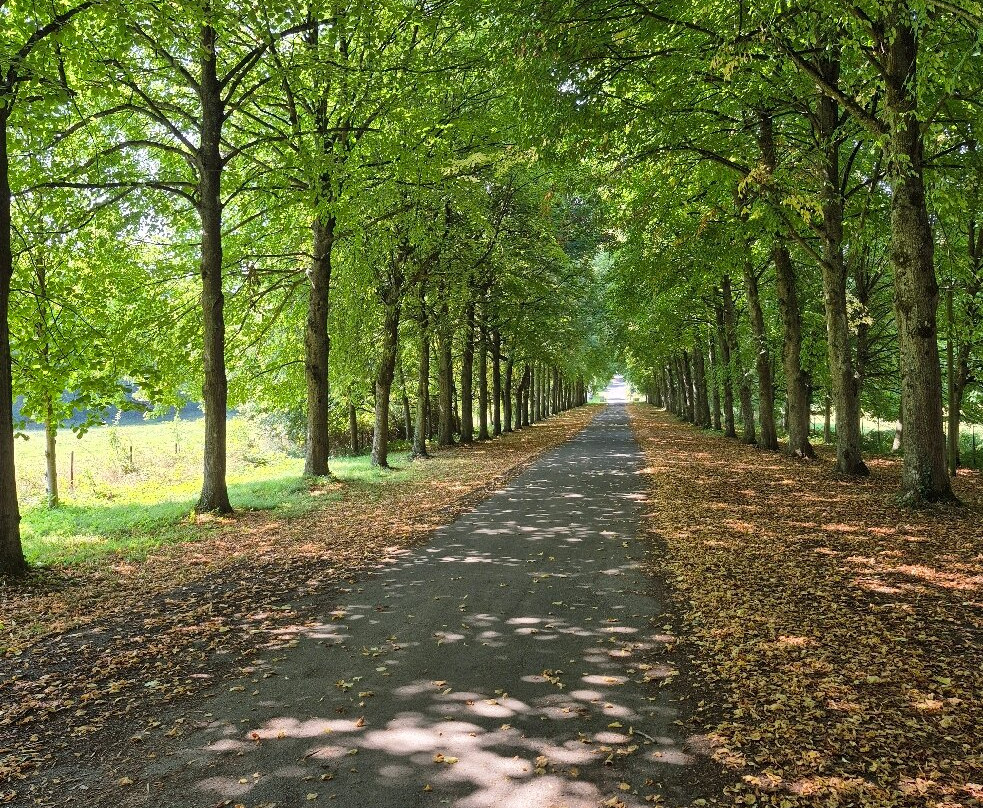 Château de Cercamp-Frevent必去景点