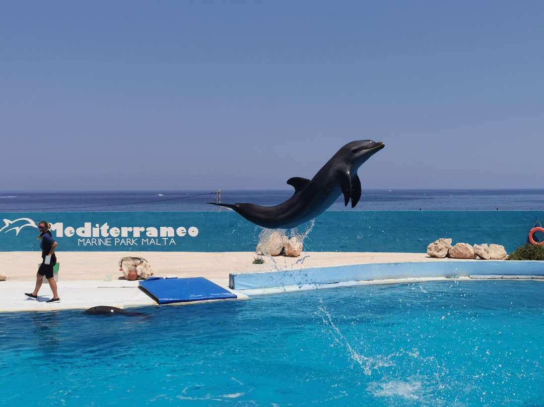 Mediterraneo Marine Park-Bahar ic-Caghaq必去景点