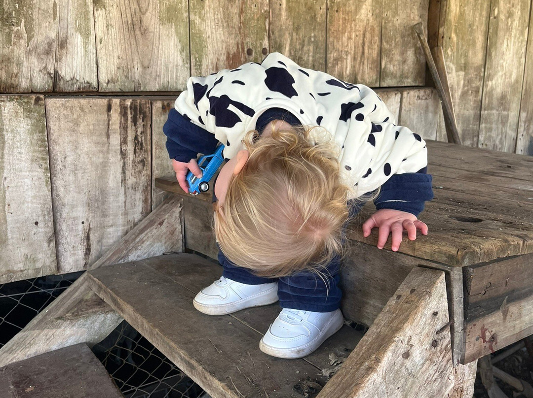 Dal Pizzol Vinhos Únicos-本图贡萨尔维斯必去景点