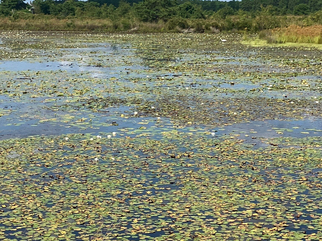 Franklin Parker Preserve-Chatsworth必去景点