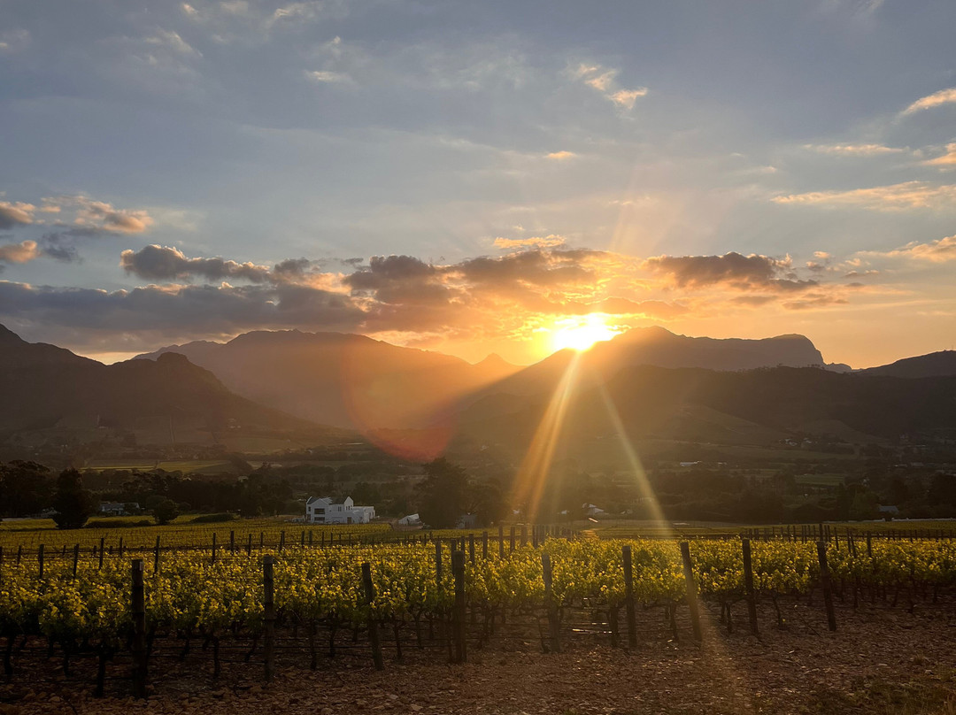 Winelands Private Transfers-斯泰伦博斯必去景点