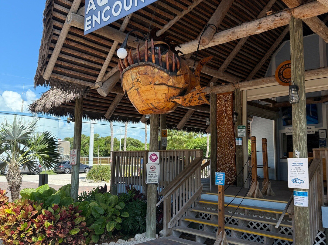 Florida Keys Aquarium Encounters-马拉松必去景点