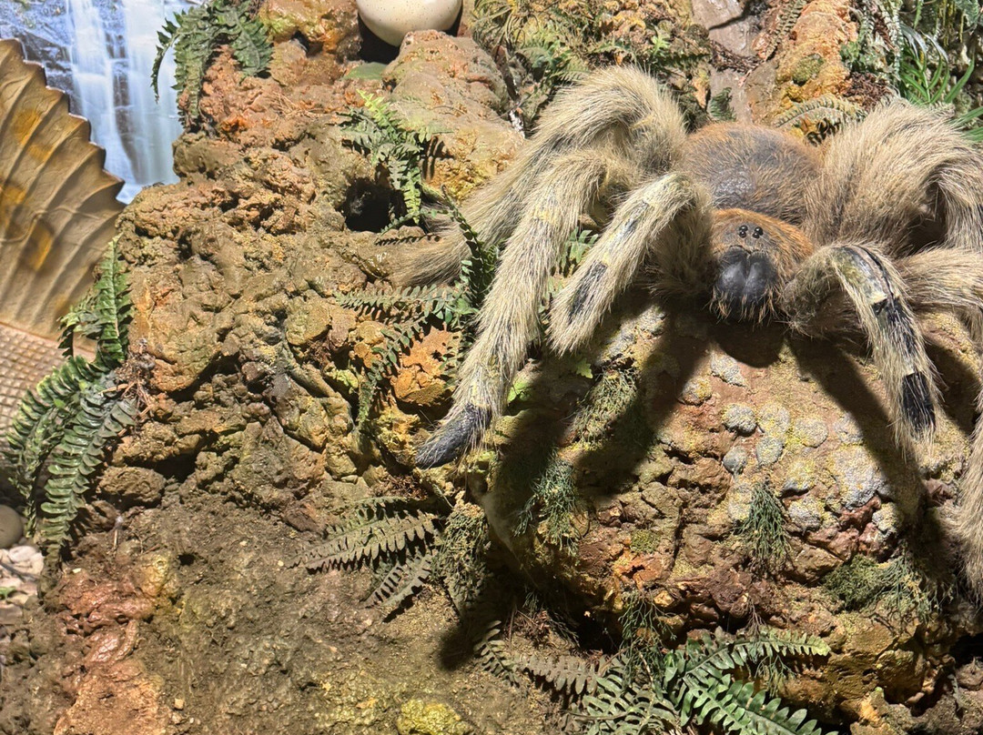 Torquays Dinosaur World-托基必去景点