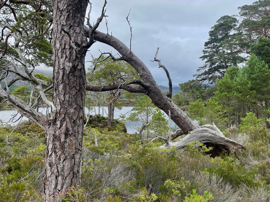 Gairloch Kayak Centre-盖尔洛赫必去景点