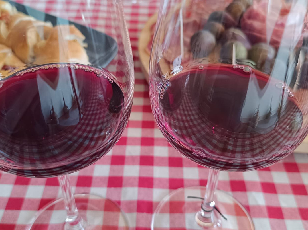 Quinta Do Gato Enoturismo-Sao Pedro do Sul必去景点