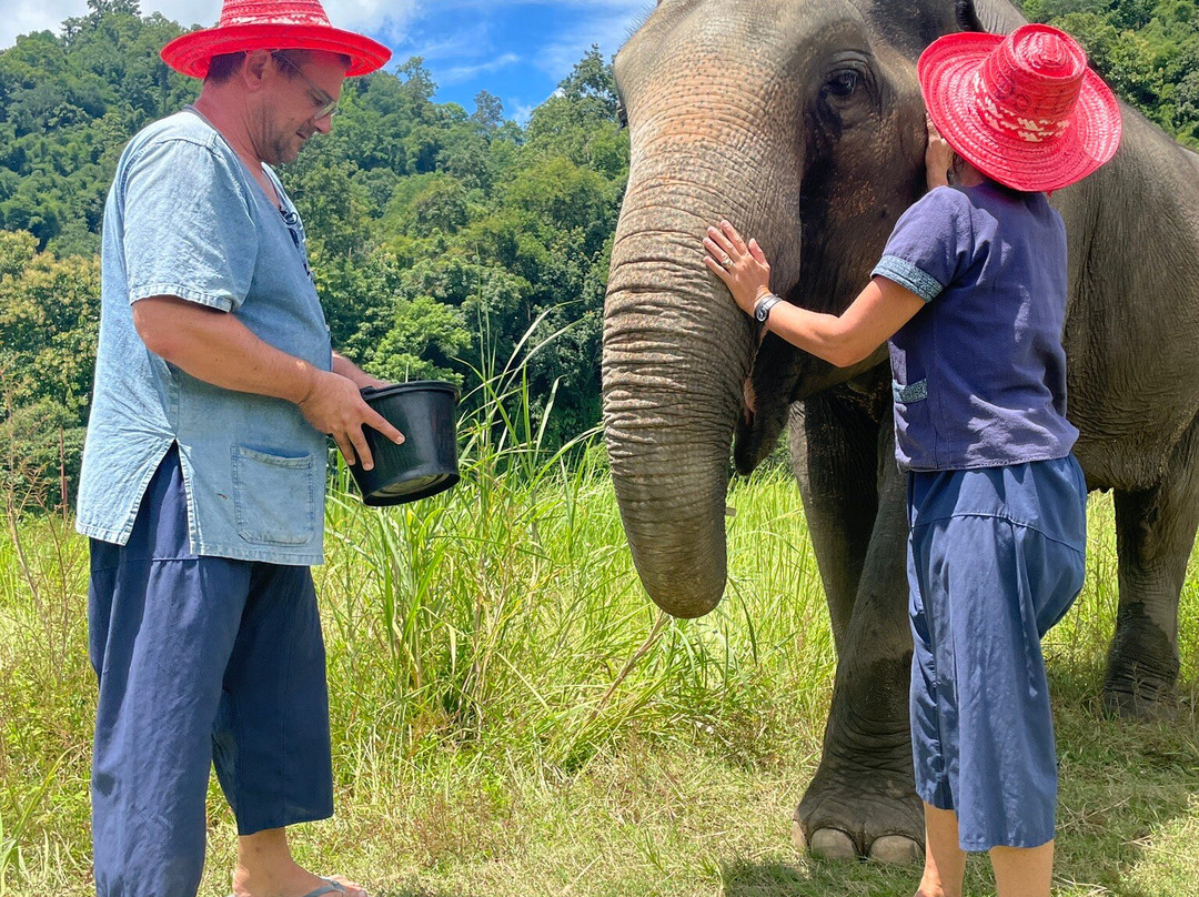 Doi Lom Elephant Rescue Sanctuary-夜登必去景点