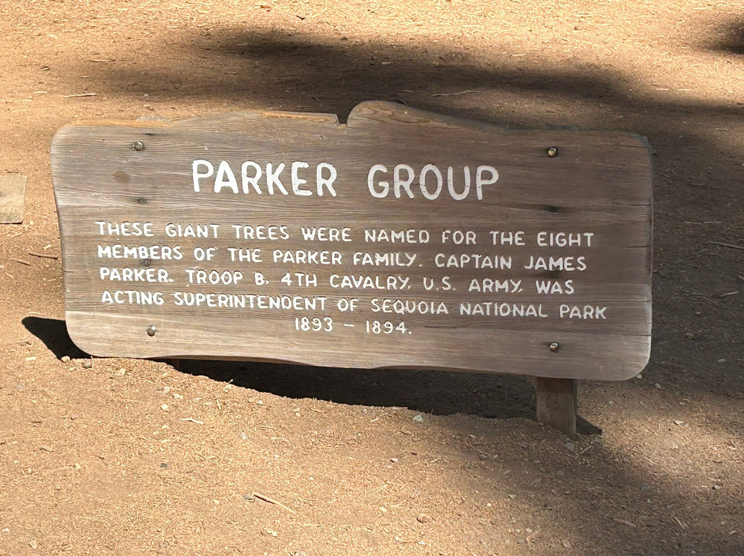 Sequoia National Park-维塞利亚必去景点