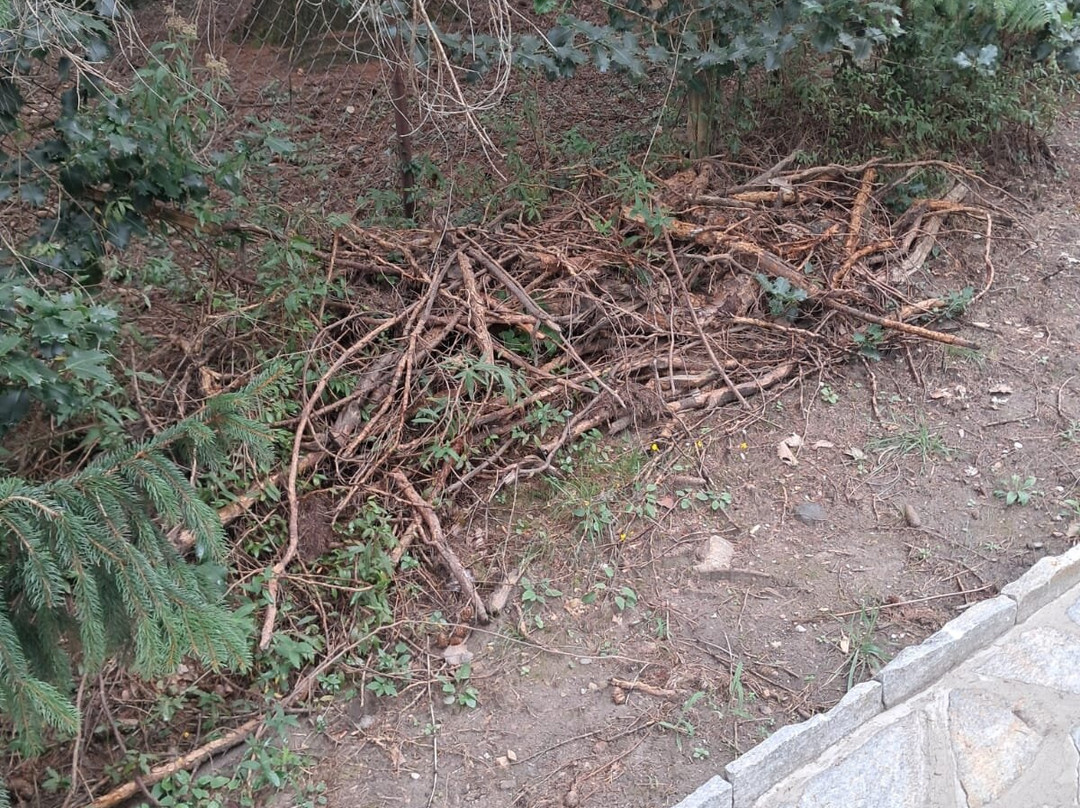 Giardino Botanico Alpinia-斯特雷萨必去景点