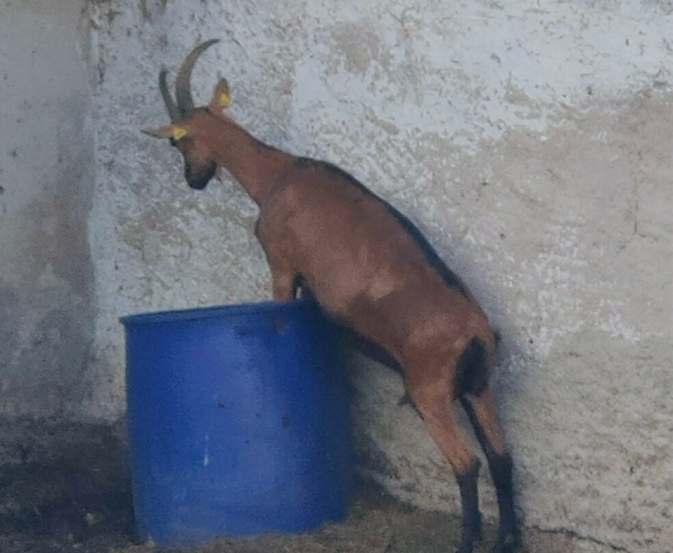 Maso Guez-San Sebastiano必去景点