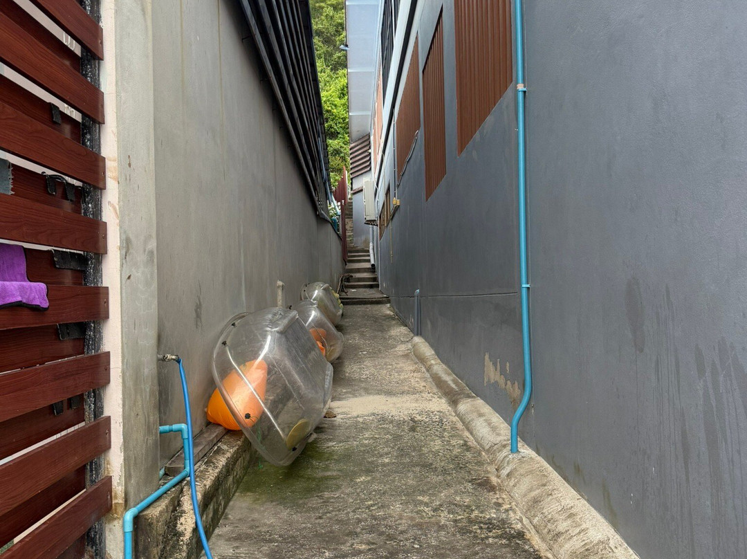 Thong Lang Beach-珊瑚岛必去景点