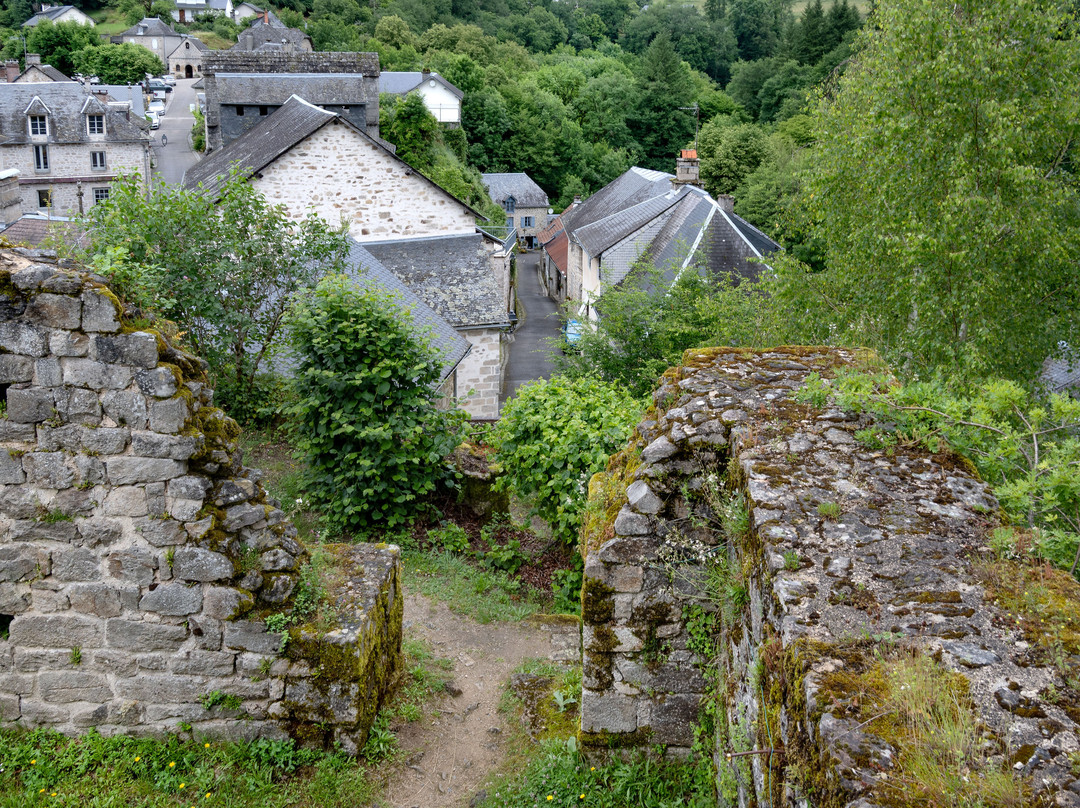 Ruines Château De La Roche Haute
