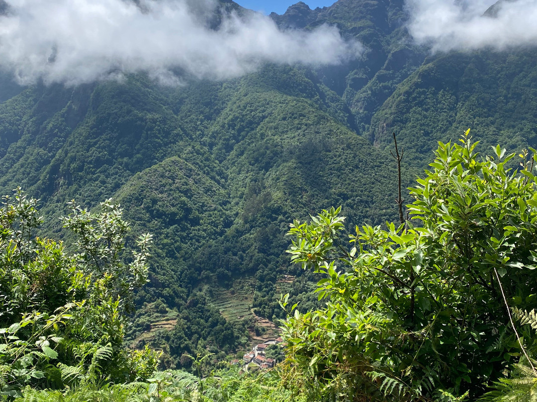 Madeira Wonder Hikes-沙尔必去景点