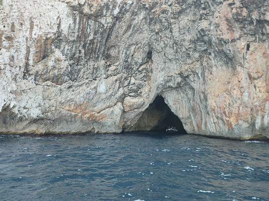 Red Coral-Castro必去景点