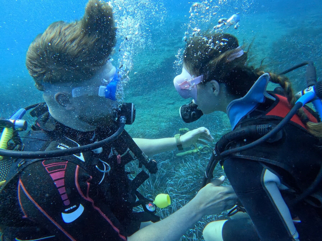 Dolphin Diving Center-雷斯蒙必去景点