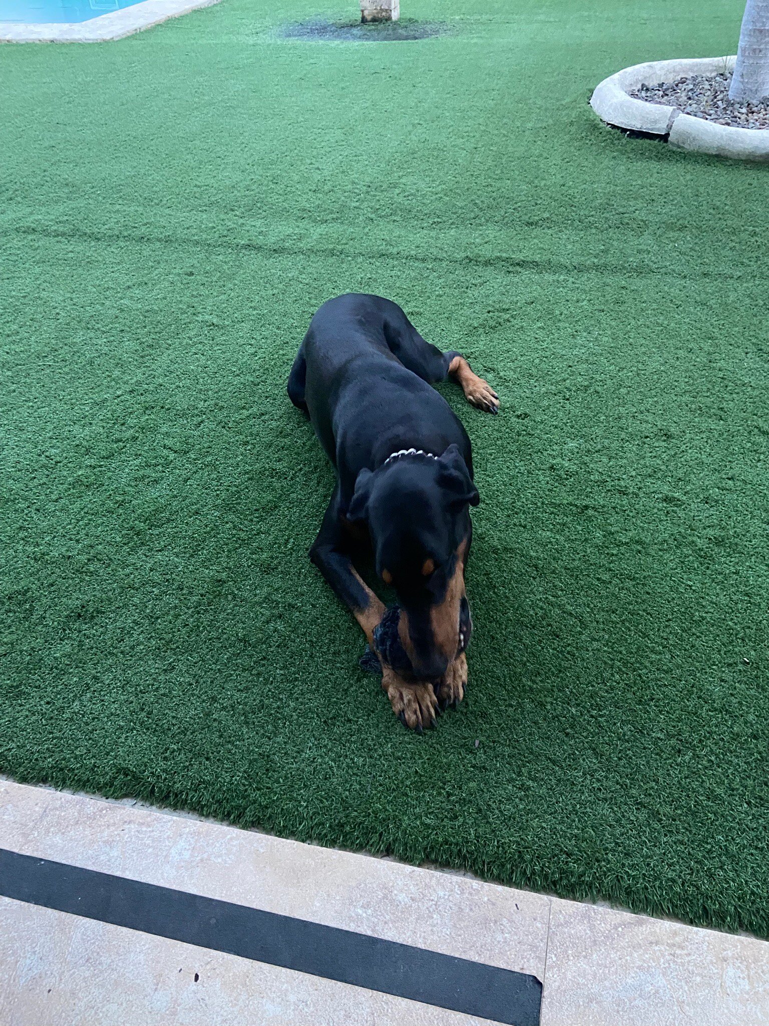 HIGALA Resort-官方